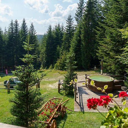 Lesna Bacowka Villa Nowy Targ Exterior foto