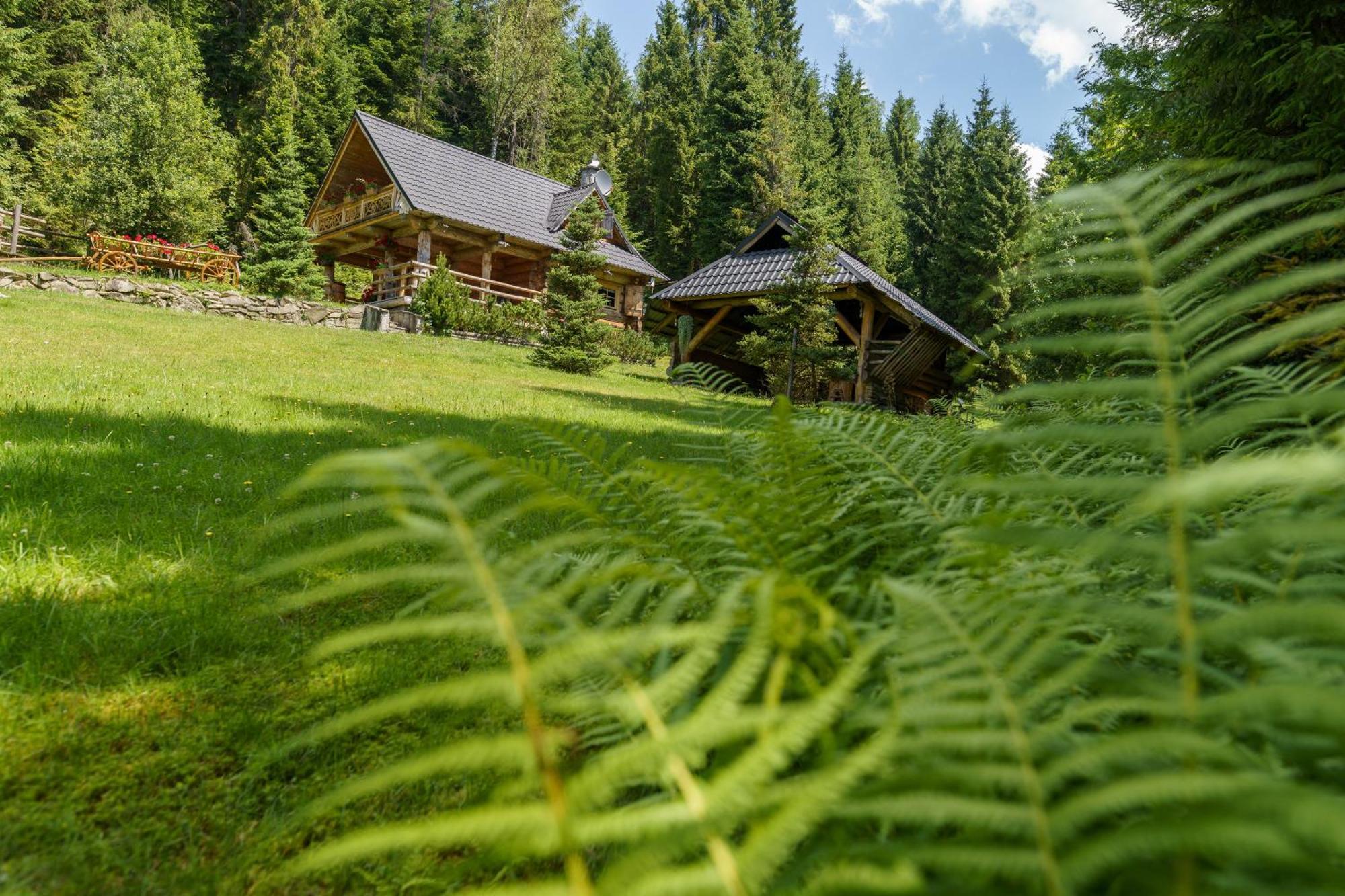 Lesna Bacowka Villa Nowy Targ Exterior foto