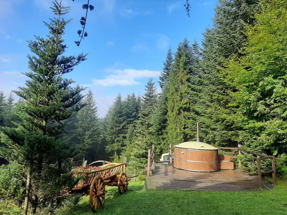 Lesna Bacowka Villa Nowy Targ Exterior foto