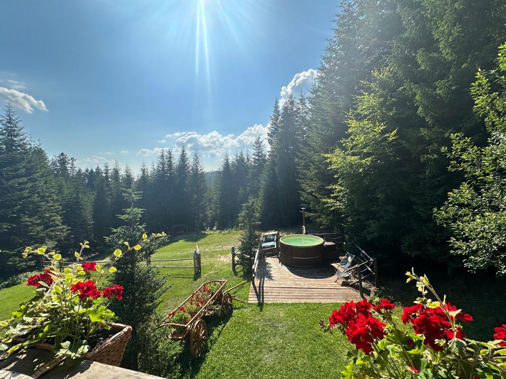 Lesna Bacowka Villa Nowy Targ Exterior foto