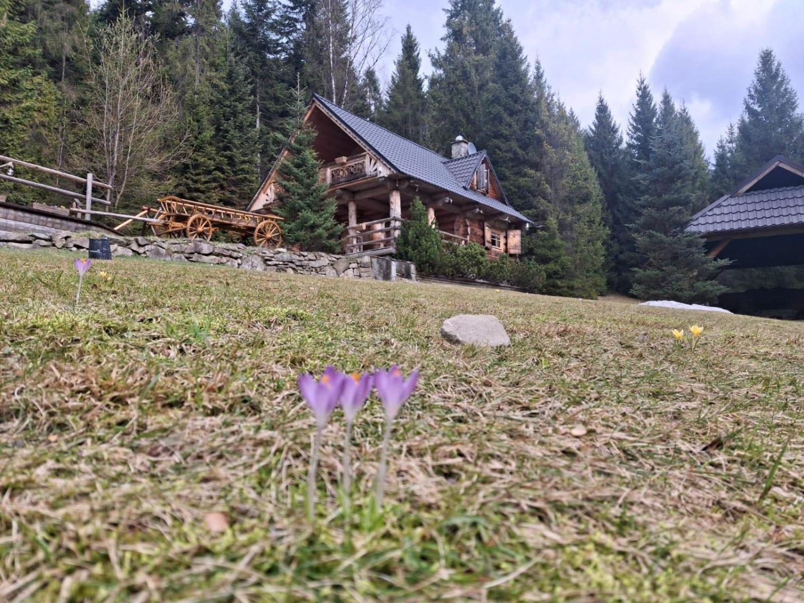 Lesna Bacowka Villa Nowy Targ Exterior foto